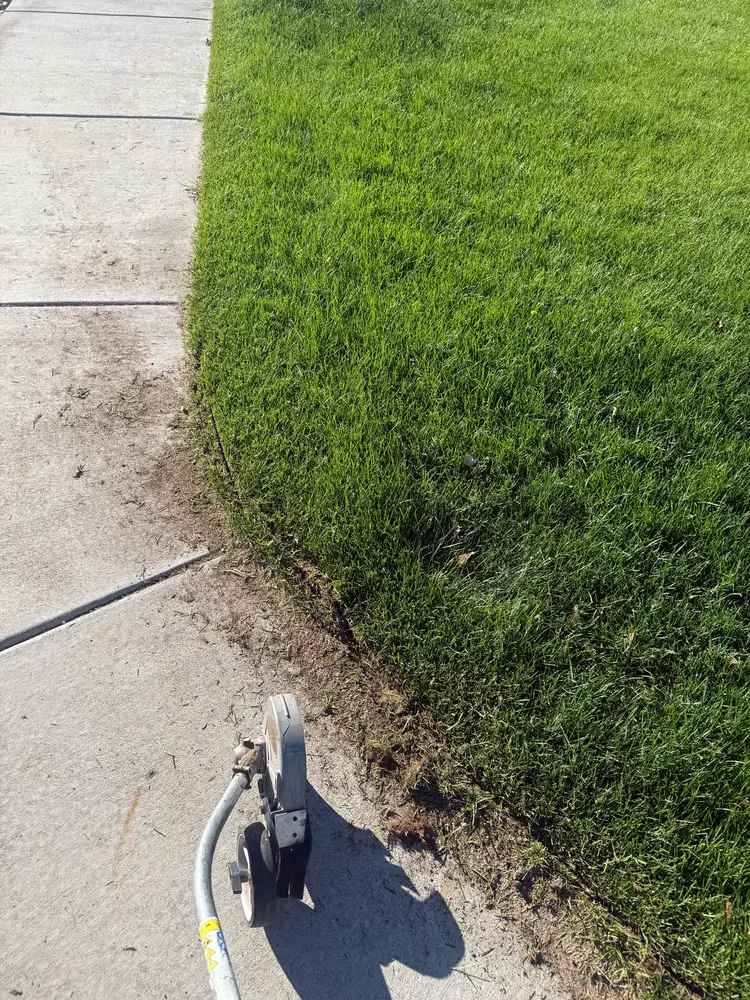 Long curved sidewalk with a crisp edge