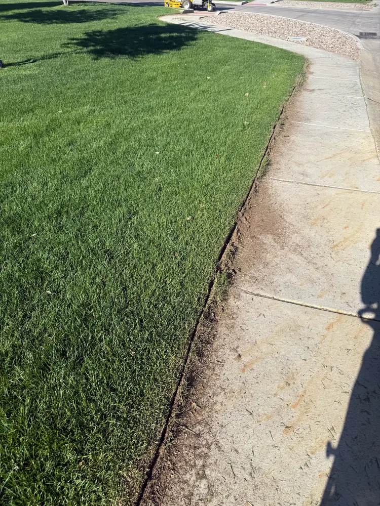 Fresh, straight edge cut along a sidewalk