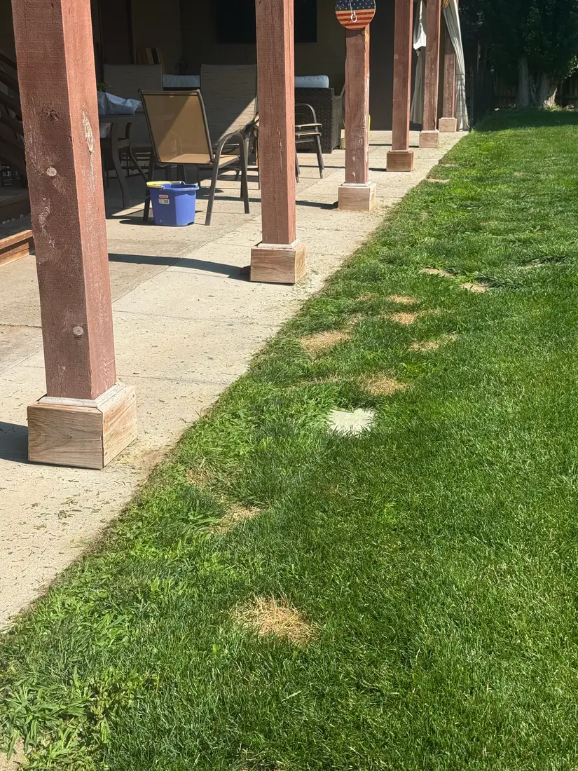 Clean trim line along a patio edge